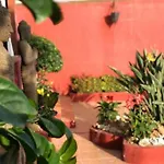 Zen Adeje - Piscina Privada Climatizada * 阿德耶